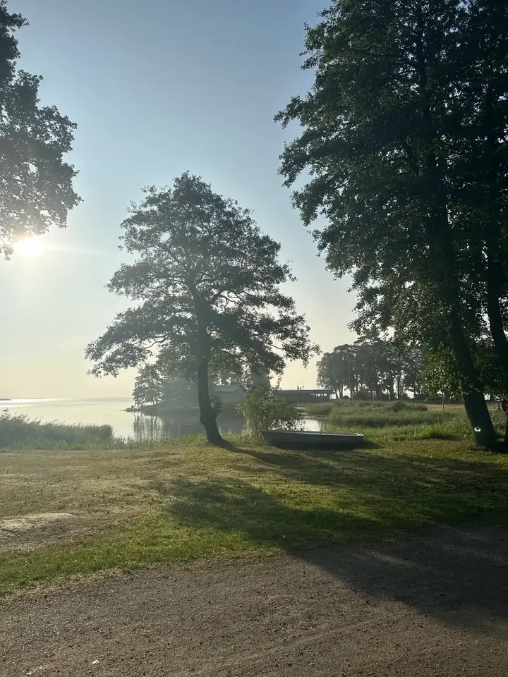 Motljus genom träd vid grusväg nära vattnet i morgondimma